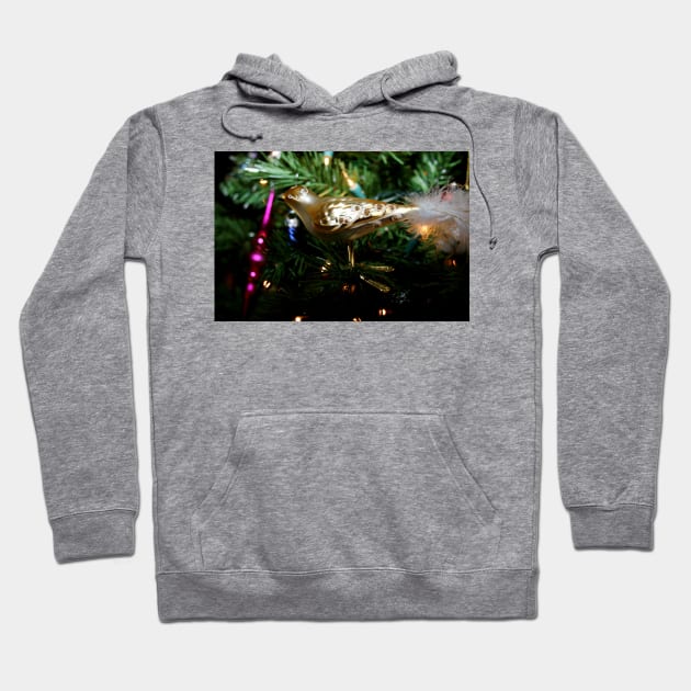 Christmas Ornament 1 Hoodie by Rob Johnson Photography